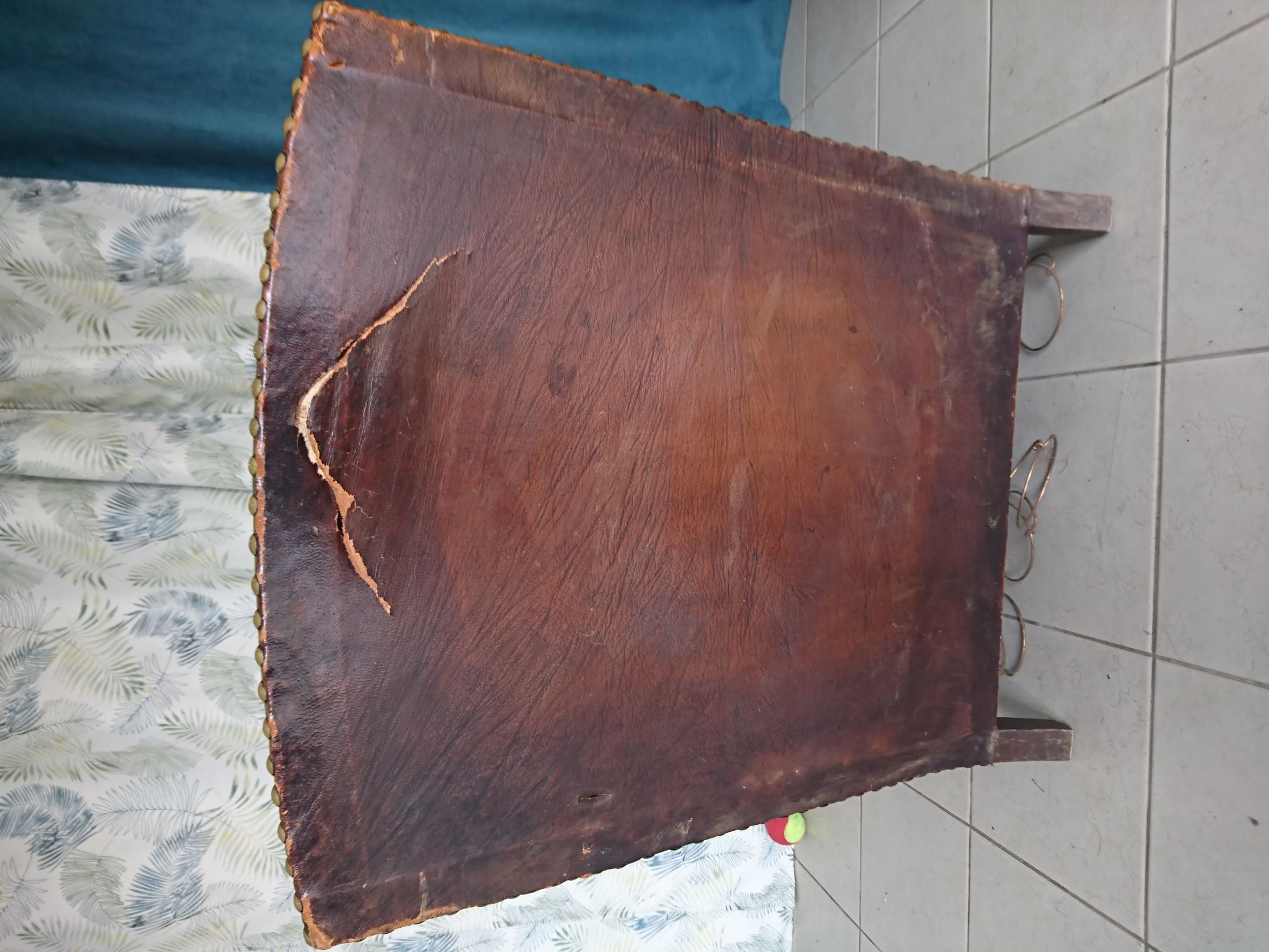 photo11