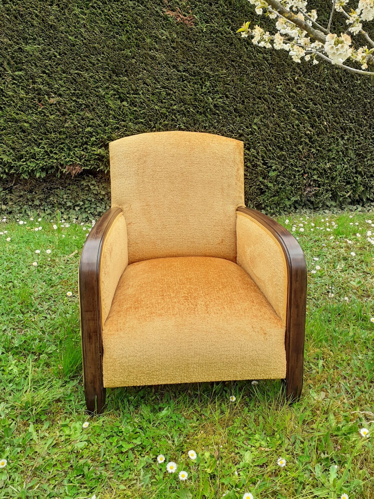 photo2